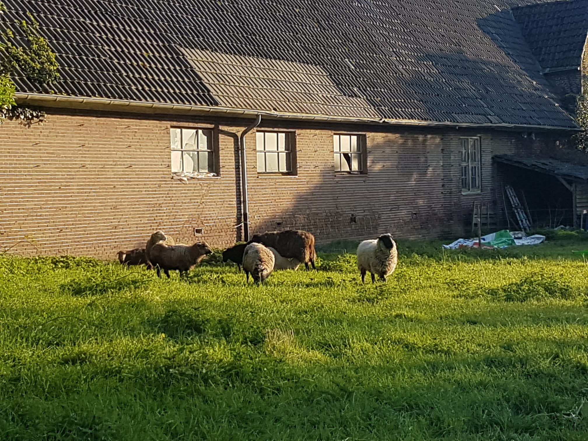 Hof Brienen