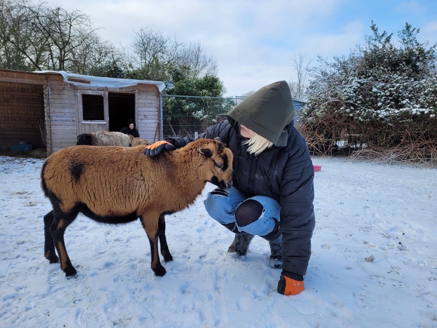 Lisa mit einer Ziege im Schnee